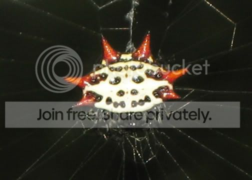 IMG_0064.jpg