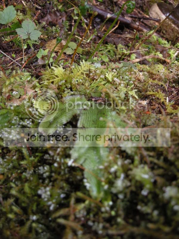 DSCN5918.jpg