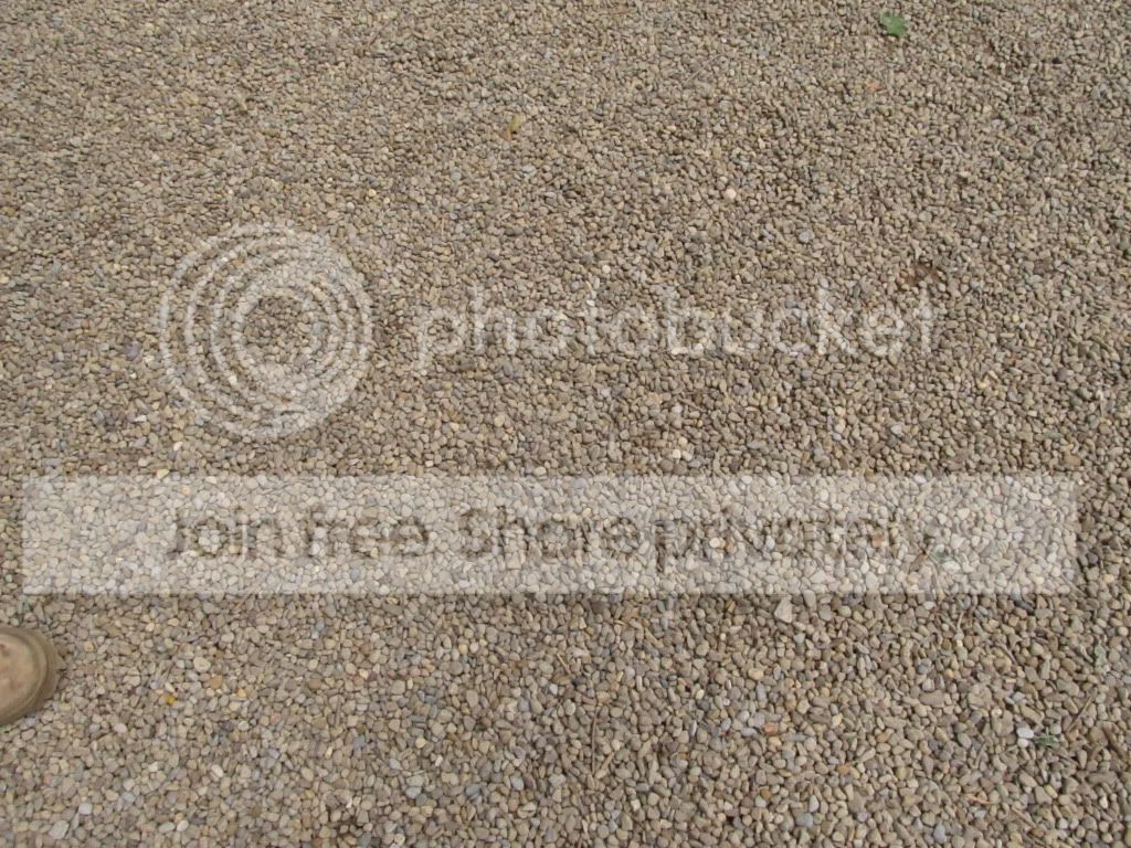 IMG_8892.jpg