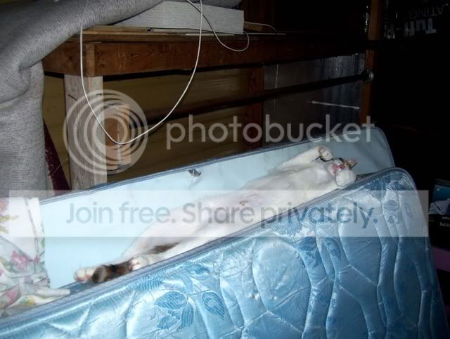 100_4375.jpg