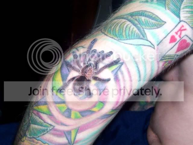 100_4997.jpg