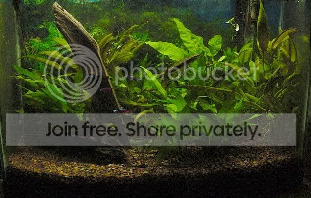 aquarium05.jpg