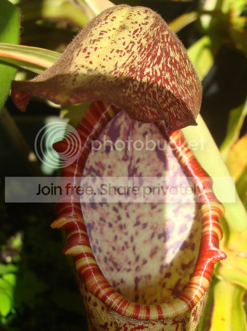 DSC09305.jpg