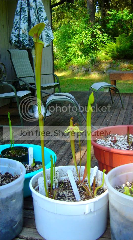 springFINALLY007.jpg