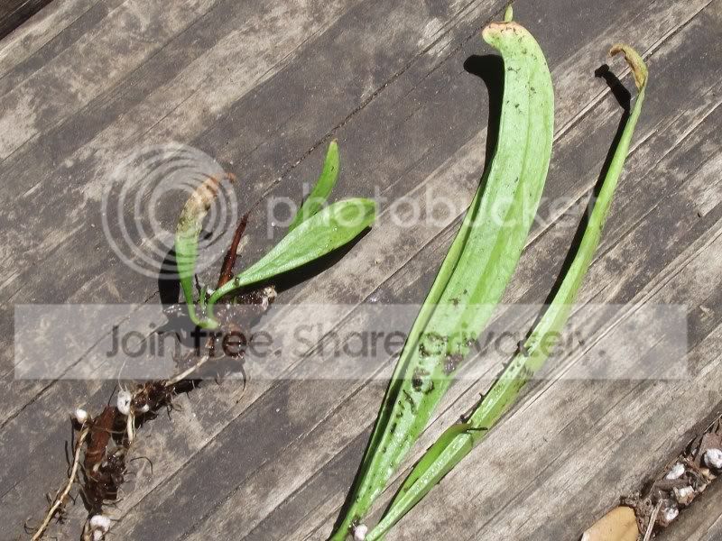 DSCF3983.jpg