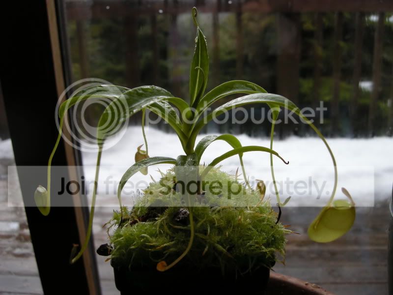 DSCN5847.jpg