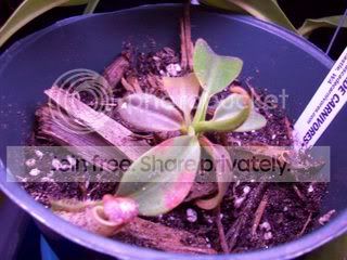 100_00361.jpg