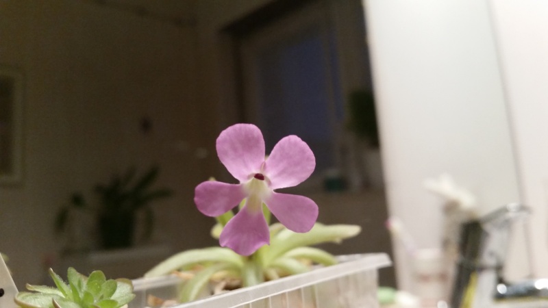 20130211.jpg
