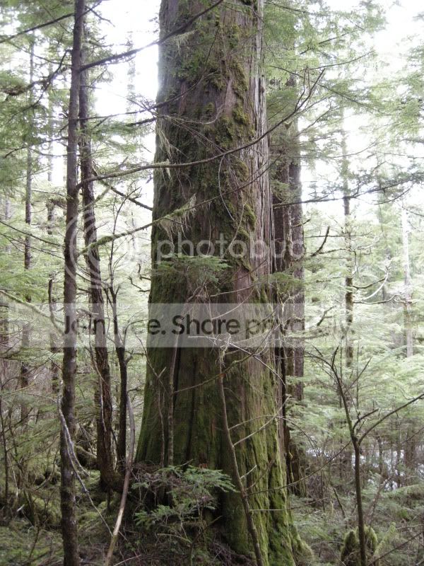 DSCN6839.jpg