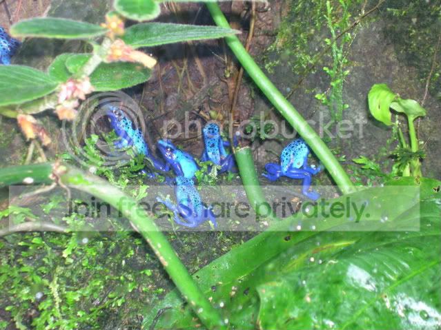DSCN0375.jpg