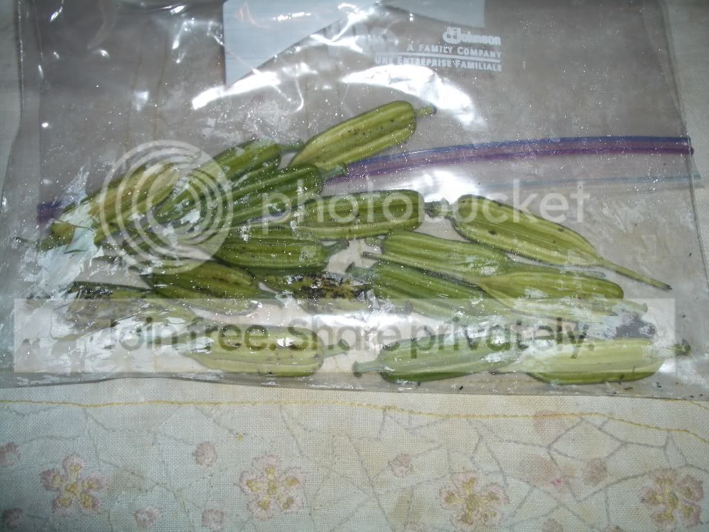 IMGP6155.jpg