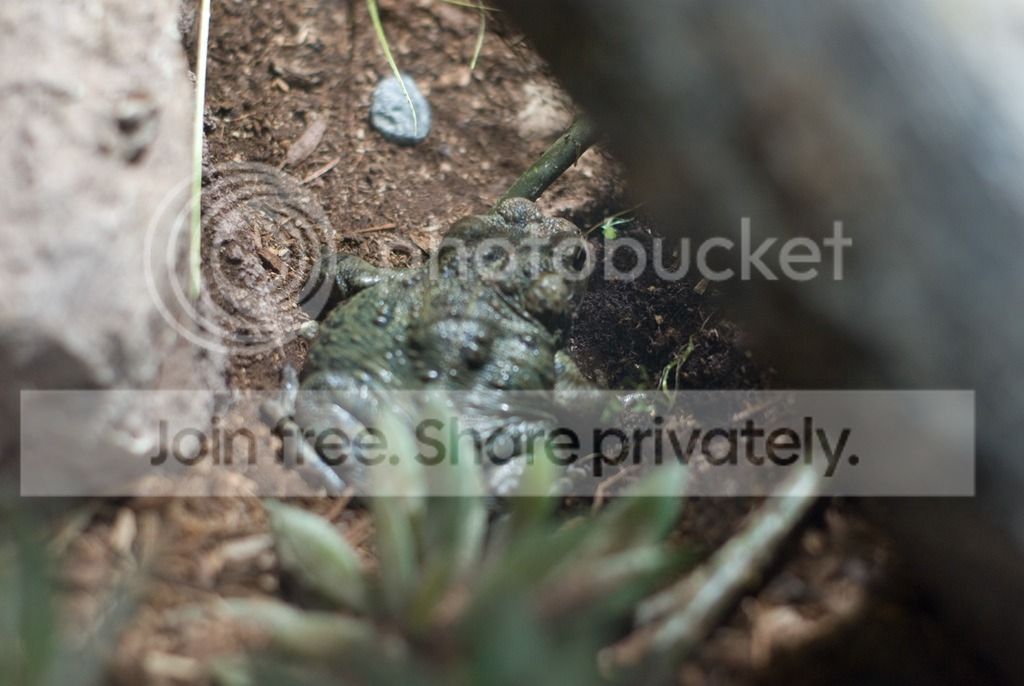 IMGP3379_zpsbuuoezdb.jpg