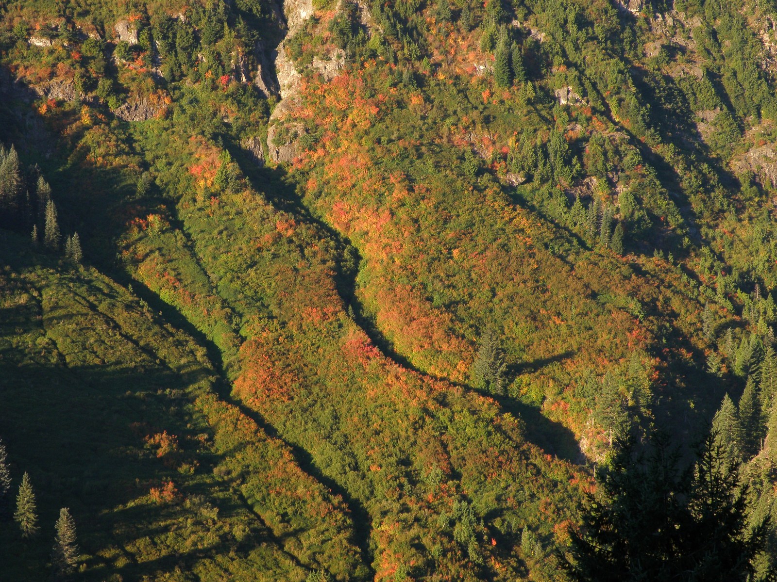 mini_P9278714.jpg