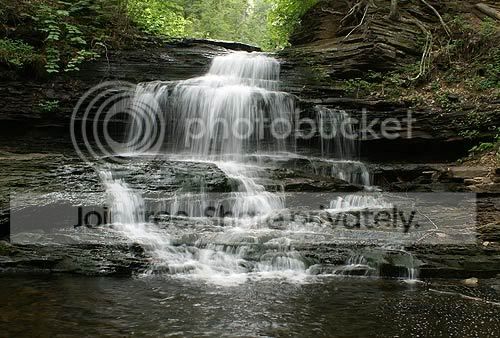 Picture-7187wf.jpg