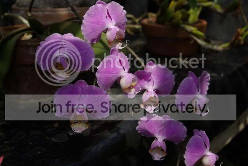 _IGP0228.jpg