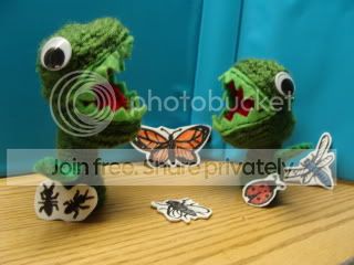 DSC01357.jpg