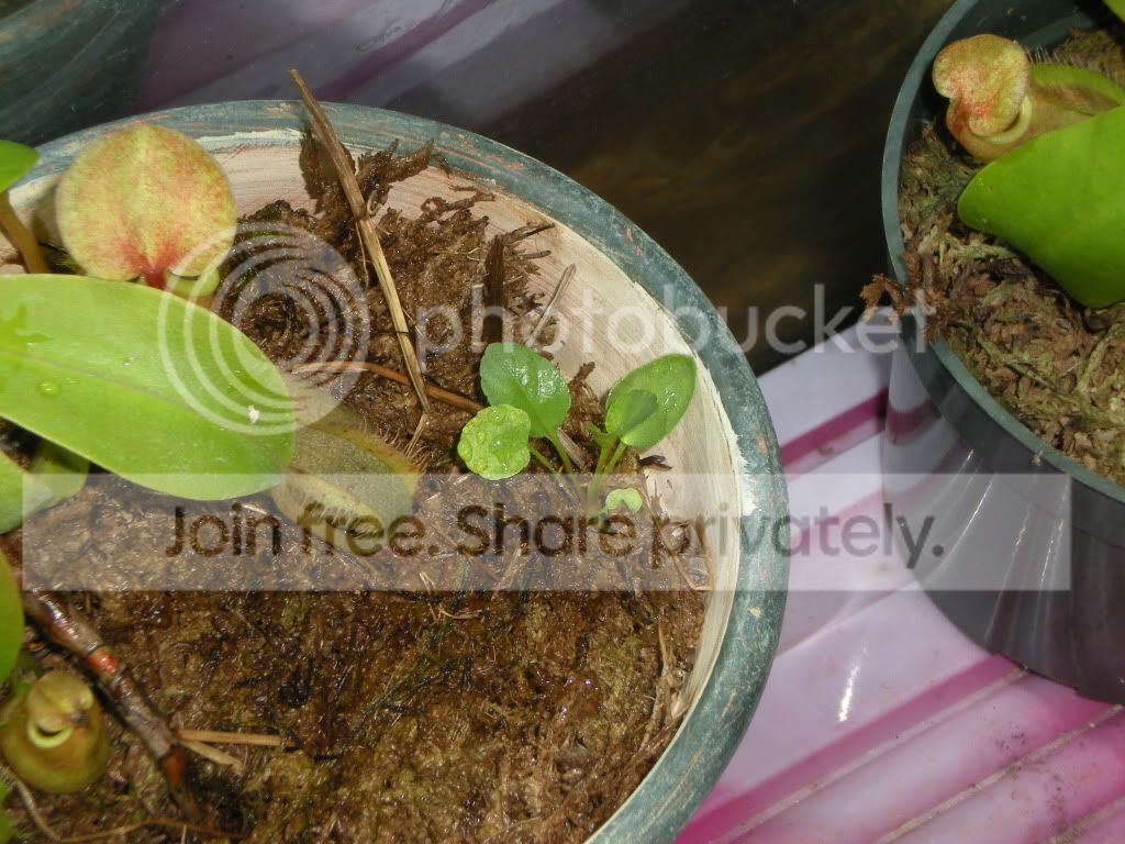 DSCN8433.jpg