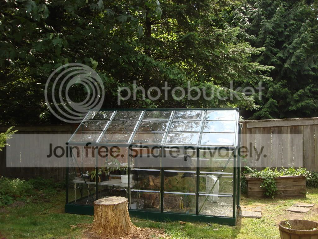 CPs6-10-09020.jpg