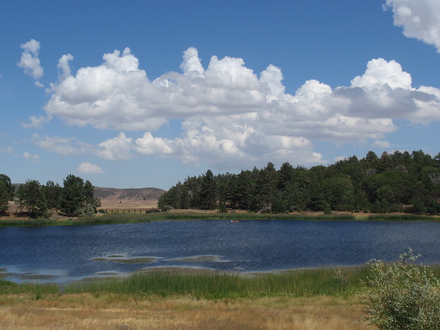 3850258287_2e71223b94_z.jpg
