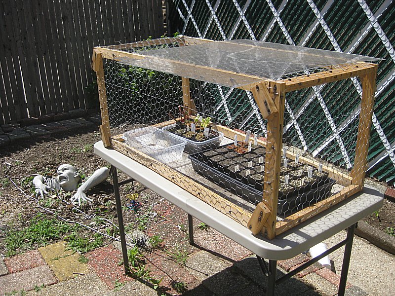 seedtray01small.jpg