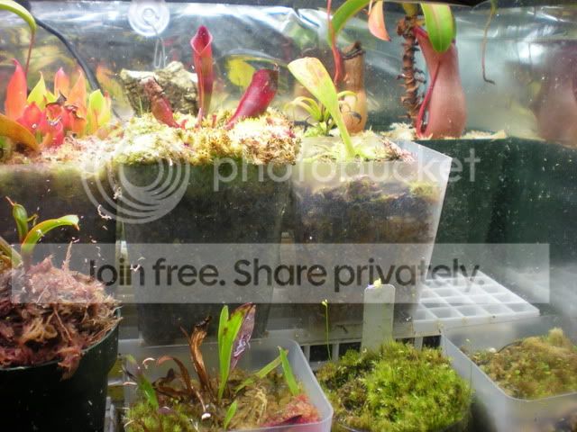 DSCN3802.jpg