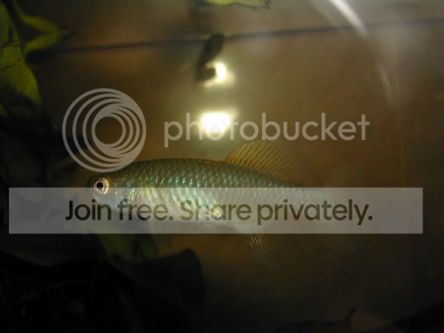 DSCN0548.jpg