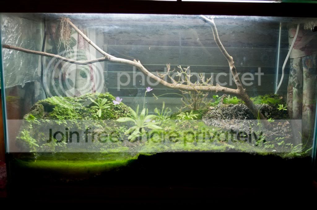 DSC_4906_zps007ea6c4.jpg