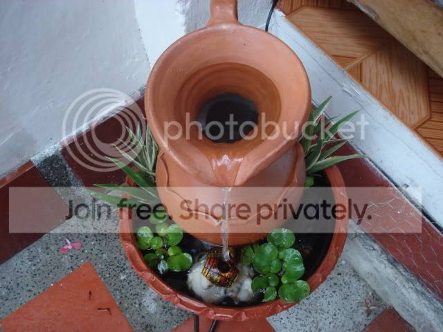 DSC01290.jpg