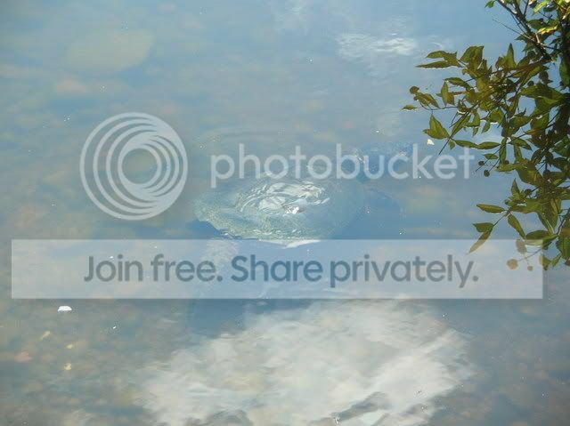 DSCN4715.jpg