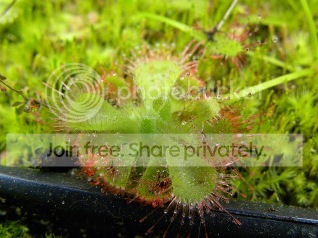 002_zpsa4bc8f28.jpg