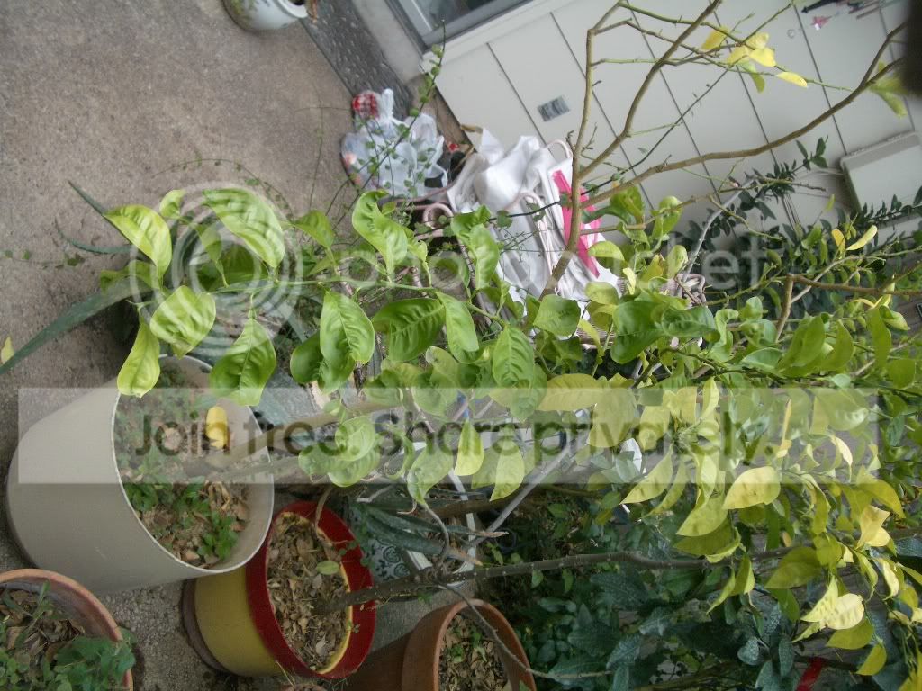 IMGP5846.jpg