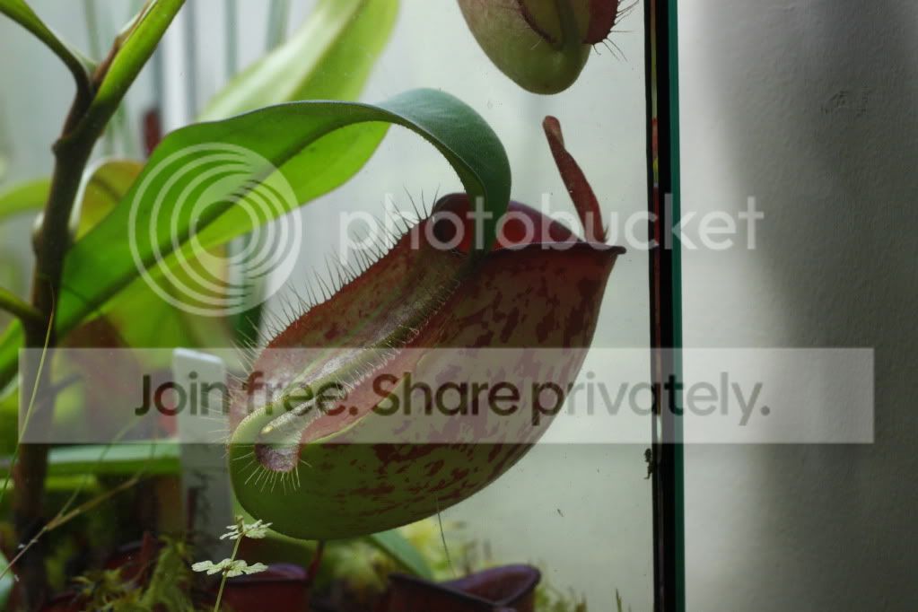 _MG_4687.jpg