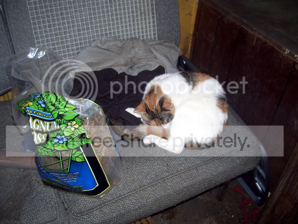 100_4229.jpg