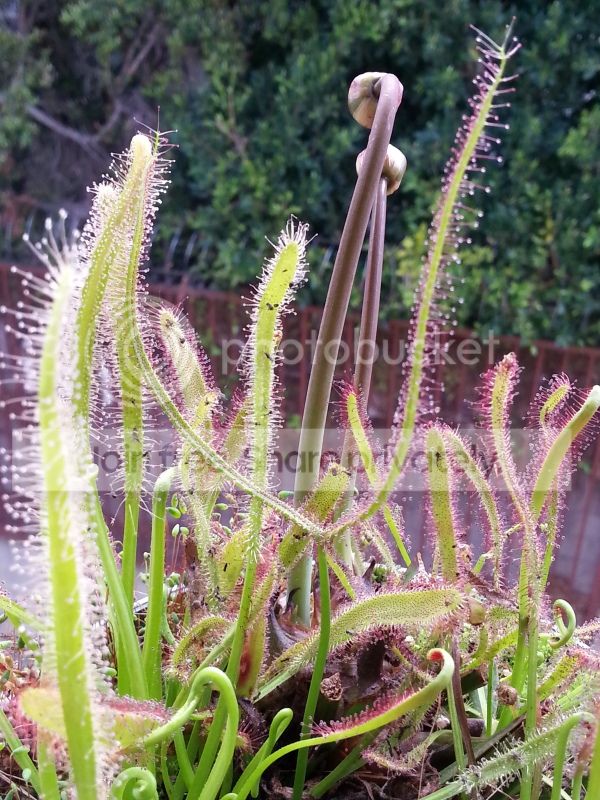 20130316_172737.jpg