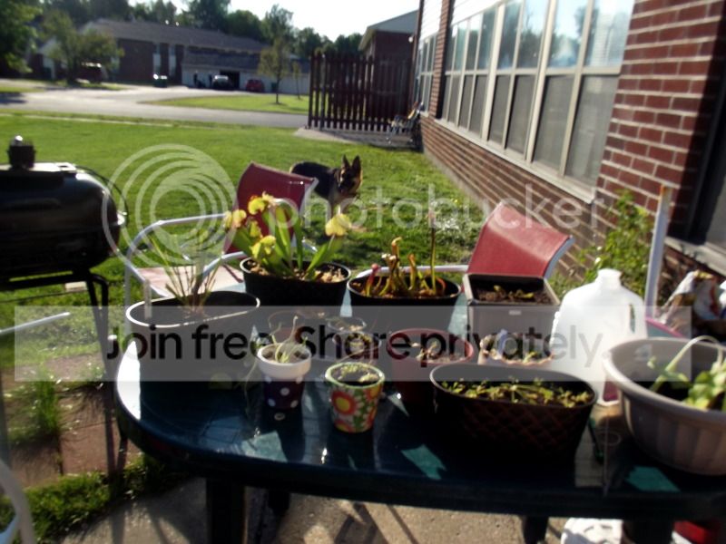 DSCF9123.jpg