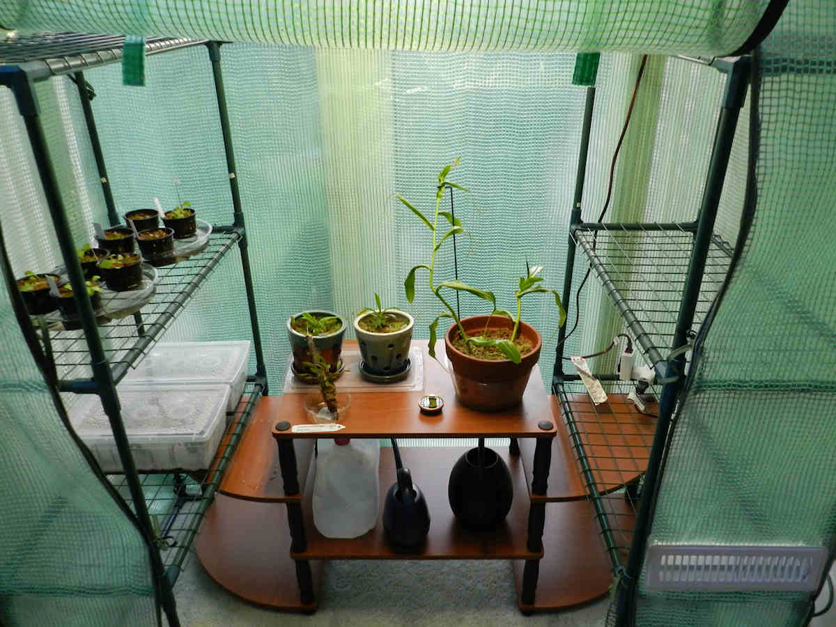 g-tent-full-open.jpg