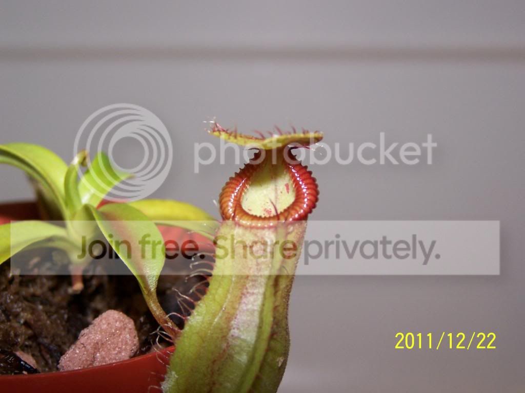 100_5678.jpg