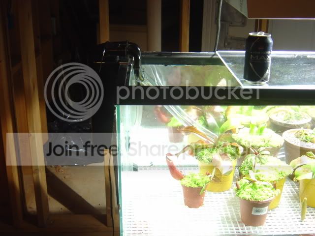 DSC02559.jpg