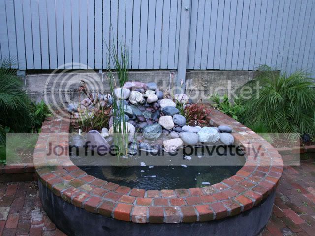 Yard4.jpg