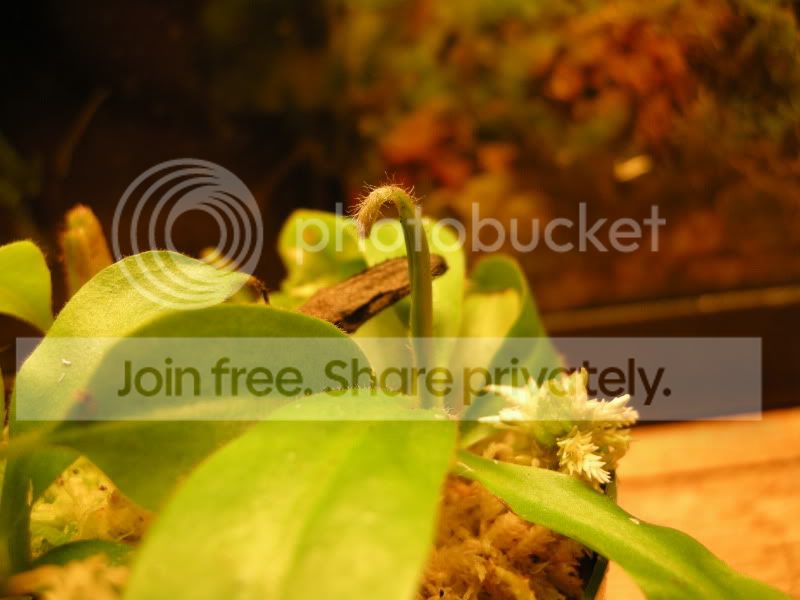 DSCN6395.jpg