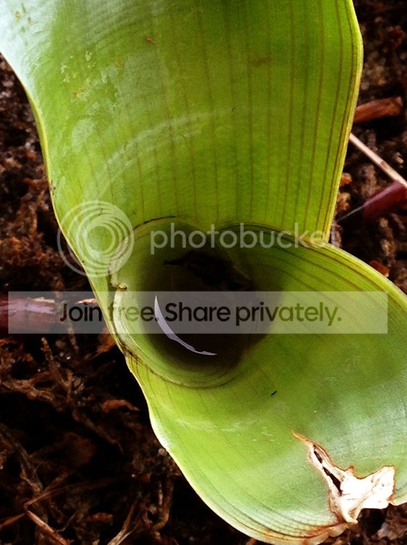 photo5.jpg