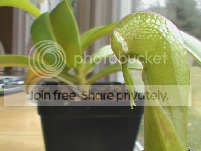 DSC00673_zpsc3948c90.jpg