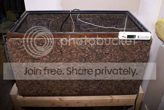-incubator-pics-007.jpg