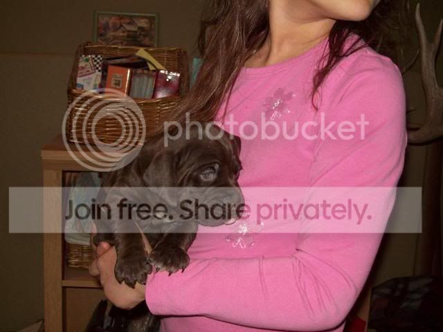 pup2.jpg