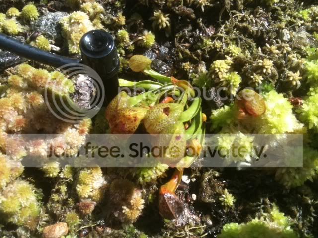 photo-22.jpg