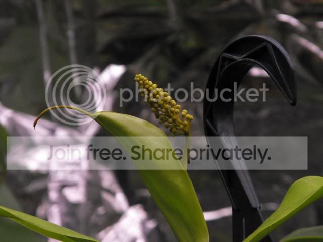 2009_11090015.jpg