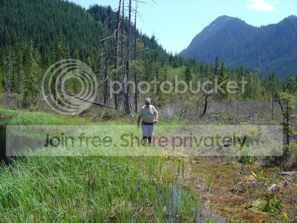 BogandRonsplace020.jpg