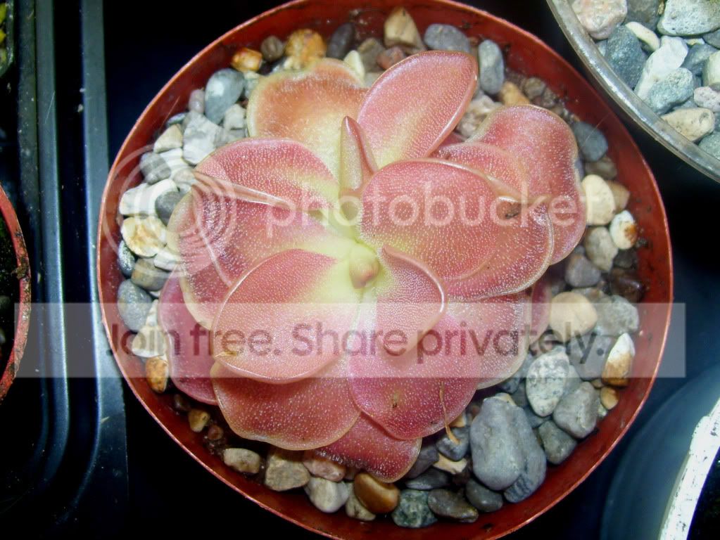 100_5989.jpg