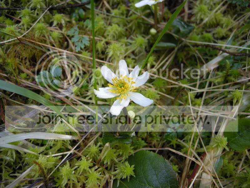 DSCN5950.jpg