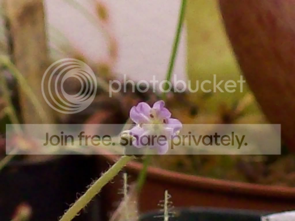 Picture001-4.jpg